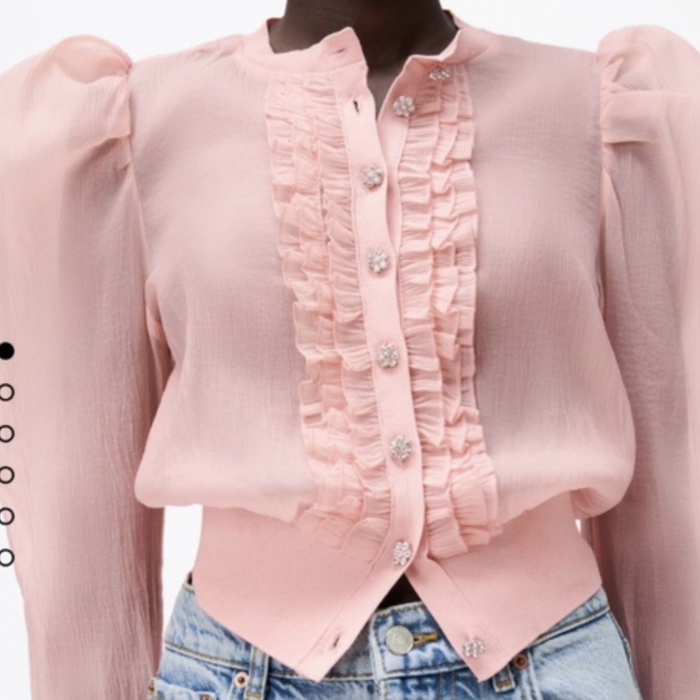 ISO Zara pink blouse with jewel bottons size large!